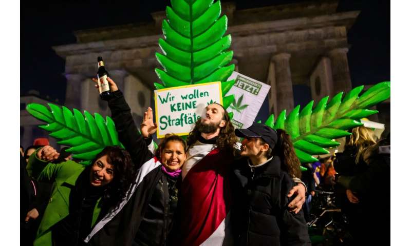 Marijuana fans celebrated last year in Berlin a legal change allowing adults to carry up to 25 grams of dried cannabis and grow up to three marijuana plants at home