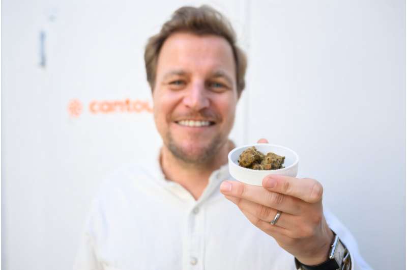 Philip Schetter, CEO of Cantourage, shows a sample of cannabis flowers from the company’s production. Philip Schetter, CEO of Cantourage, shows a sample of cannabis flowers from the company’s production